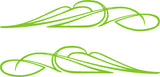 Flames Vinyl Car Truck Decals Pinstriping # 2 Graphics Boat Golf Cart Stickers